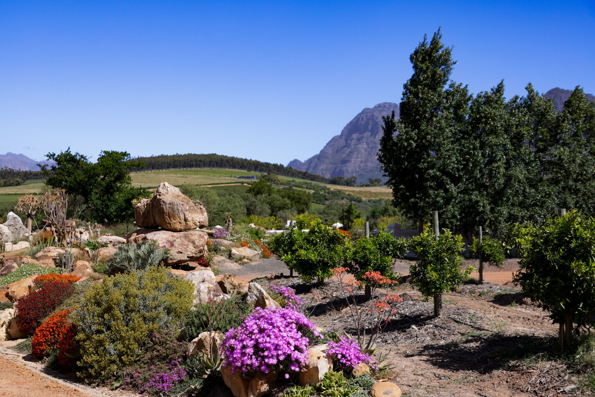 The Cape Town Staycation Guide: Ten Lekker Things to Do in Your Own City